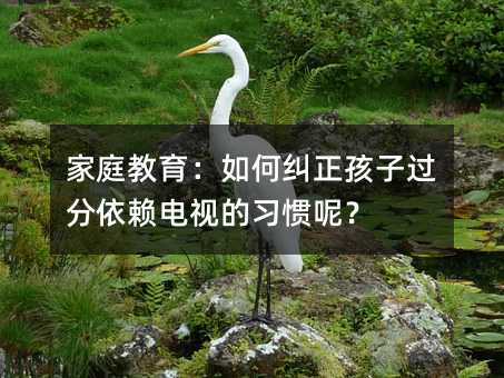 ͥμm^هҕTأ