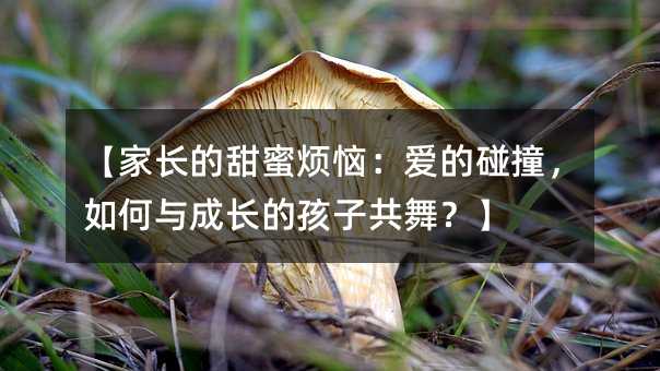 L(zhng)۟۵ײcL(zhng)ĺӹ裿