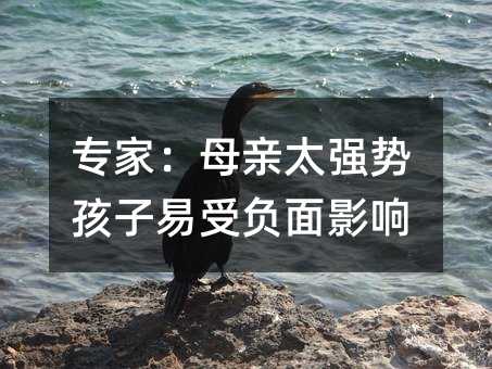 專家:母親太強勢孩子易受負面影響