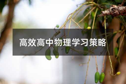高效高中物理學習策略