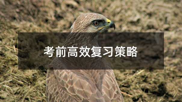 ǰЧ