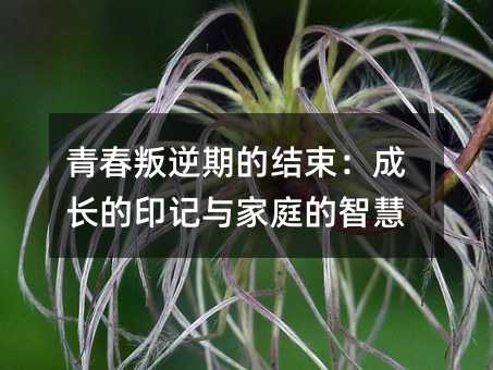 青春叛逆期的結束:成長的印記與家庭的智慧