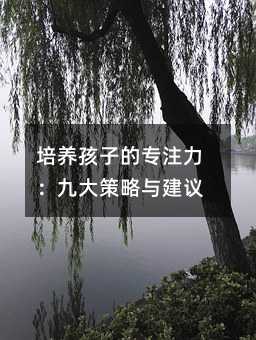 培養(yǎng)孩子的專注力:九大策略與建議