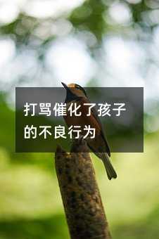 打罵催化了孩子的不良行為