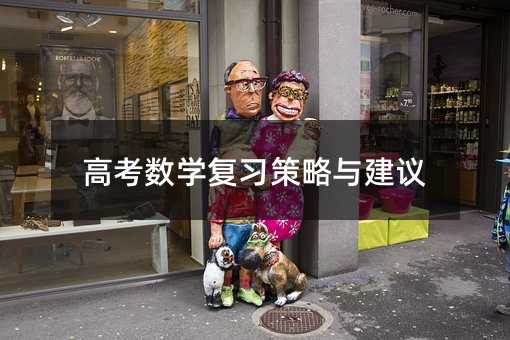 高考數(shù)學(xué)復(fù)習(xí)策略與建議