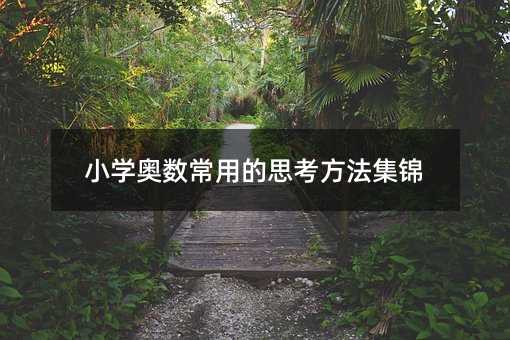 小學(xué)奧數(shù)常用的思考方法集錦