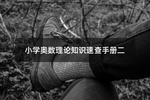 小學奧數理論知識速查手冊二