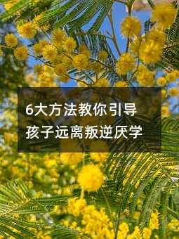 6大方法教你引導(dǎo)孩子遠(yuǎn)離叛逆厭學(xué)