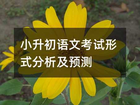 小升初語文考試形式分析及預測