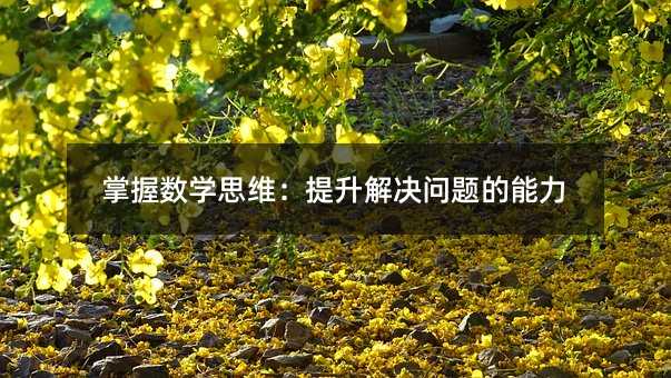 掌握數(shù)學(xué)思維:提升解決問題的能力