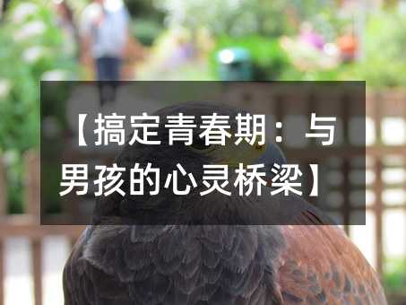 【搞定青春期:與男孩的心靈橋梁】