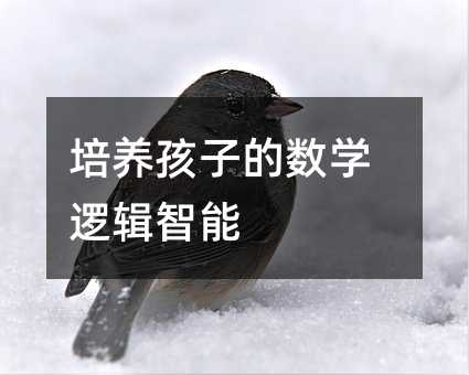 培養孩子的數學邏輯智能