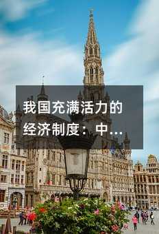 我國充滿活力的經濟制度:中考政治復習指南