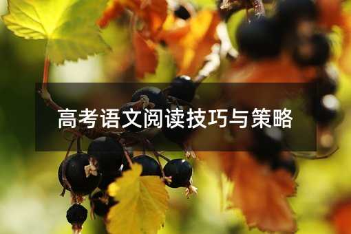 高考語文閱讀技巧與策略