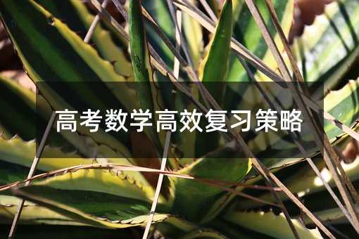高考數學高效復習策略