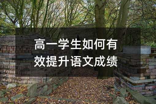 高一學生如何有效提升語文成績