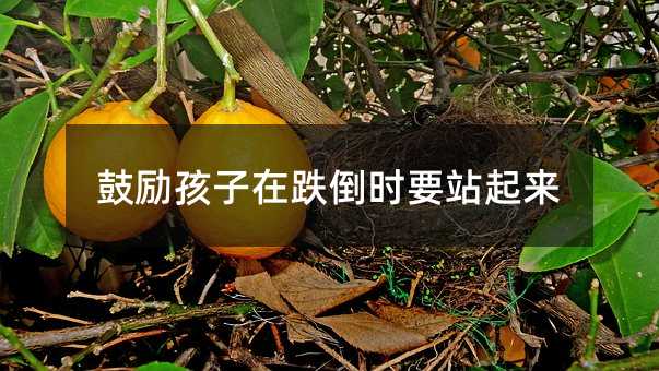 鼓勵孩子在跌倒時要站起來