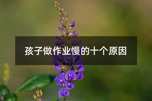 孩子做作業慢的十個原因
