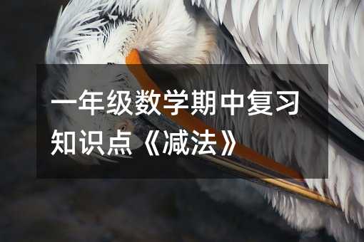 一年級數學期中復習知識點《減法》