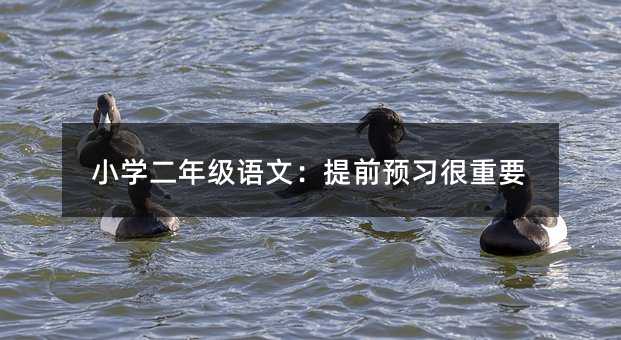 СW꼉ZģǰAҪ