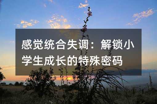 感覺統合失調:解鎖小學生成長的特殊密碼