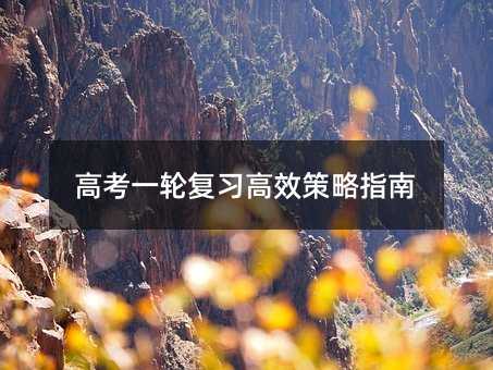 高考一輪復(fù)習(xí)高效策略指南