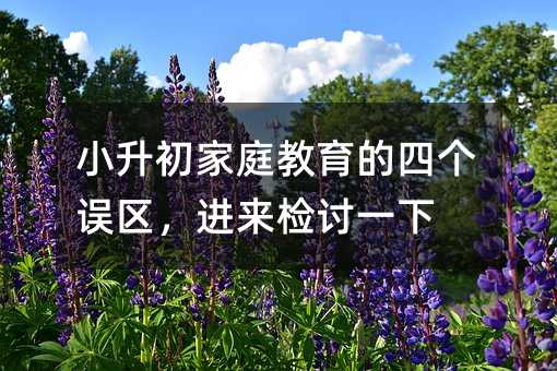 小升初家庭教育的四個誤區,進來檢討一下