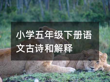 СW(xu)꼉(j)(c)Z(y)ĹԊ(sh)ͽ