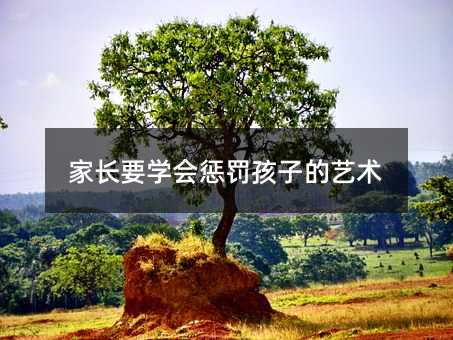 LҪWPӵˇg