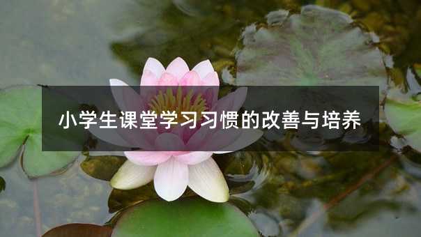 小學生課堂學習習慣的改善與培養