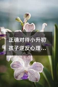 正確對待小升初孩子逆反心理的方法