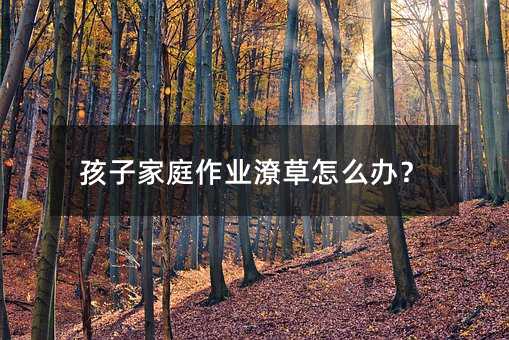 孩子家庭作業潦草怎么辦?