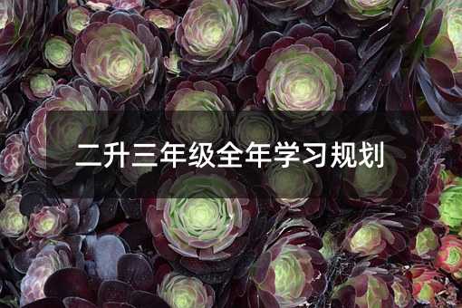 꼉ȫWҎ