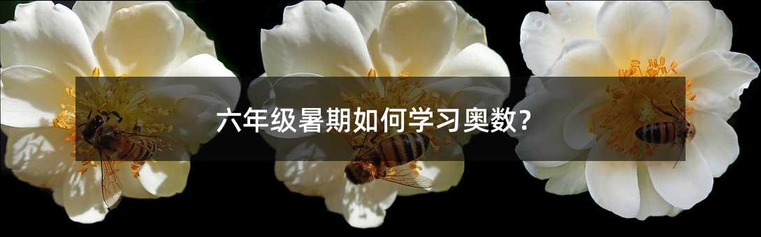 꼉ΌWW