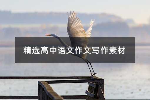 精選高中語文作文寫作素材
