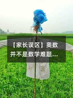 【家長誤區(qū)】奧數(shù)并不是數(shù)學(xué)難題的代名詞