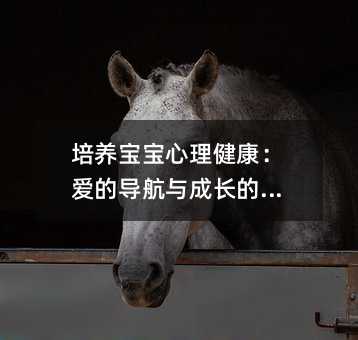 B۵ČcLǻ