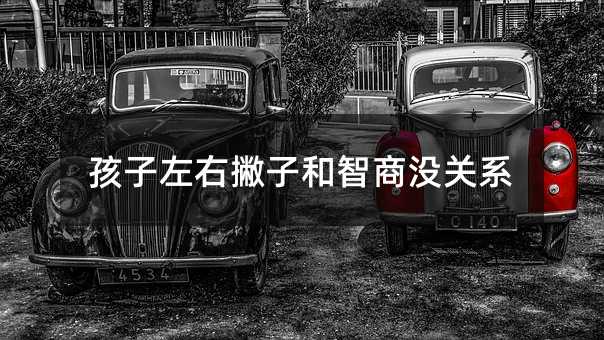 ƲӺ̛]Pϵ