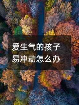 愛生氣的孩子易沖動怎么辦