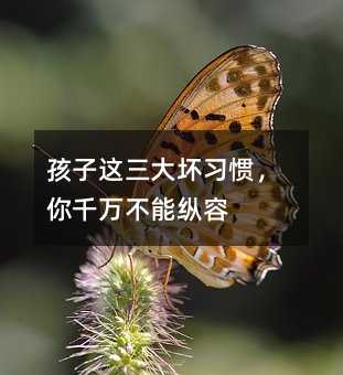 孩子這三大壞習(xí)慣,你千萬不能縱容
