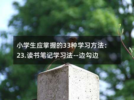 小學生應掌握的33種學習方法:23.讀書筆記學習法--邊勾邊畫