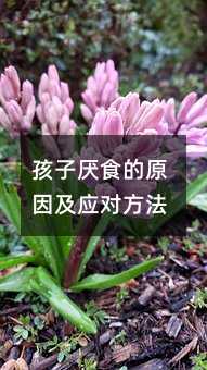 孩子厭食的原因及應對方法