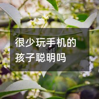很少玩手機(jī)的孩子聰明嗎