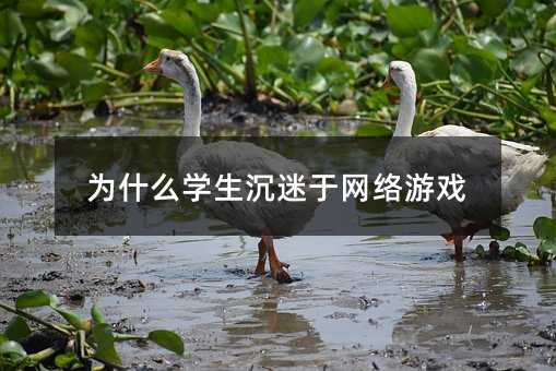 為什么學(xué)生沉迷于網(wǎng)絡(luò)游戲