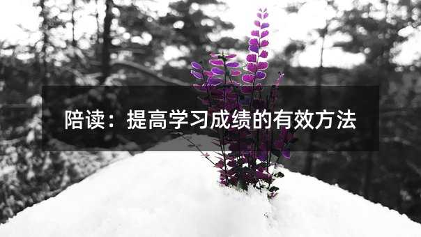 陪讀:提高學習成績的有效方法