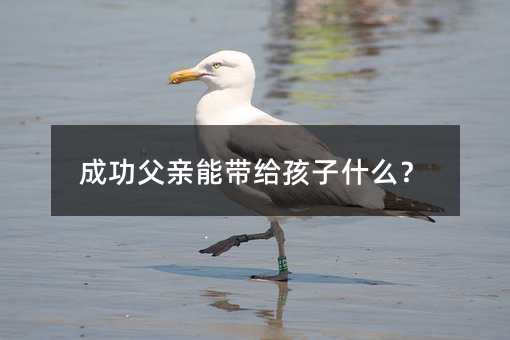 成功父親能帶給孩子什么?