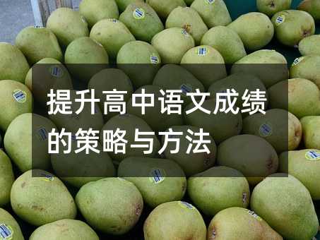 提升高中語文成績的策略與方法