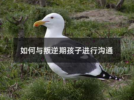 如何與叛逆期孩子進行溝通