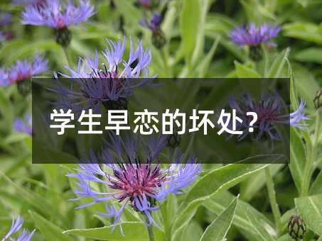 學(xué)生早戀的壞處?