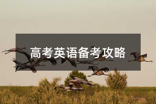 ߿ӢZ俼